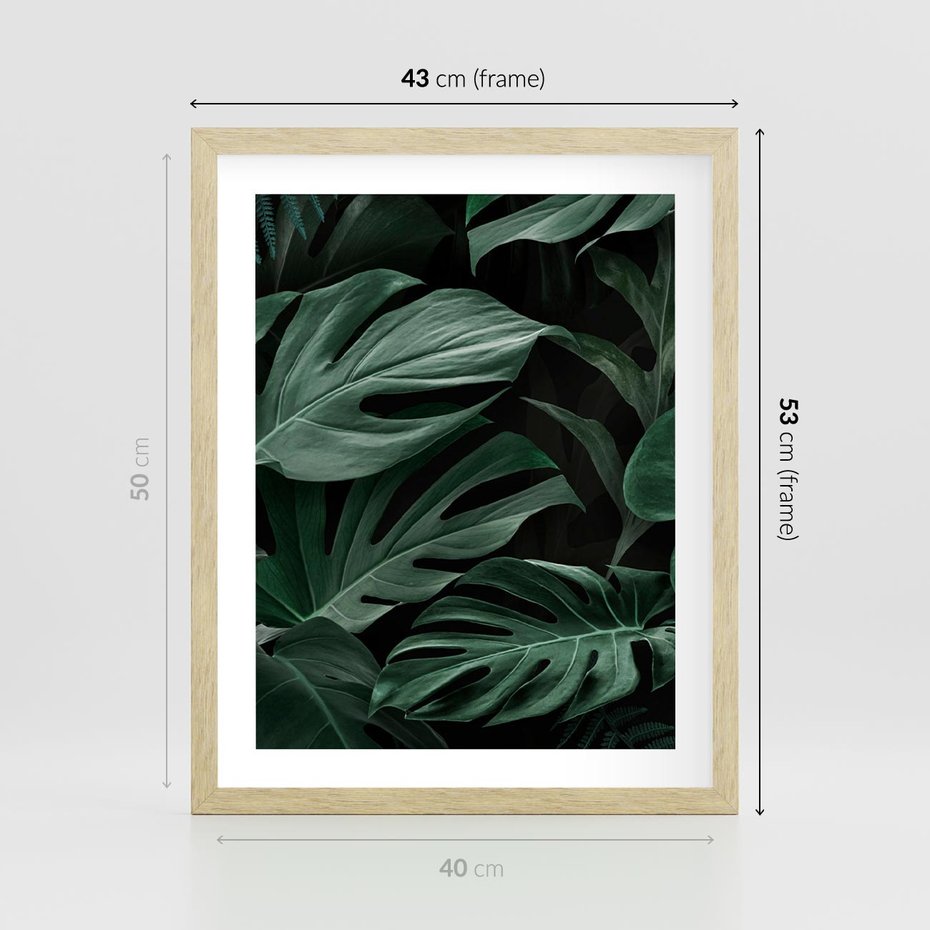 Plakat w ramie 40x50 - Zielone Liście Monstery w Dżungli - zielone liście monstery, dżungla - rama drewno