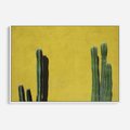 Obraz w ramie 100x70 - Refleksje w roślinnym odbiciu - zielone kaktusy na tle żółtej ściany, soczyste kolory - rama biała