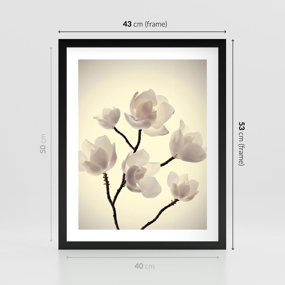 Plakat w ramie 40x50 - Elegancja Natury - magnolia, białe - rama czarna
