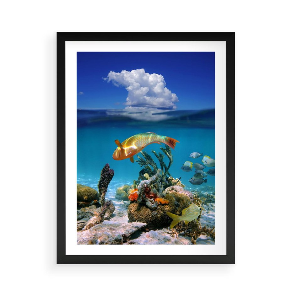 Plakat w ramie 50x70 - Podwodna rafa koralowa: kolorowy oceanowy świat - rafa, koralowa - rama czarna