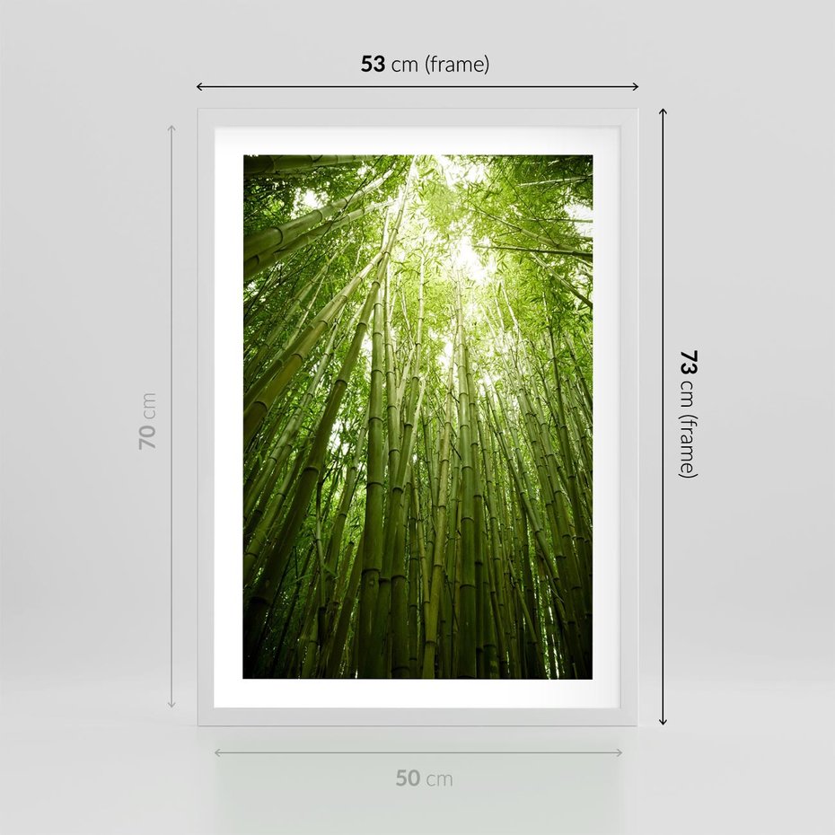 Plakat w ramie 50x70 - Siła Natury - drzewa, las - rama biała