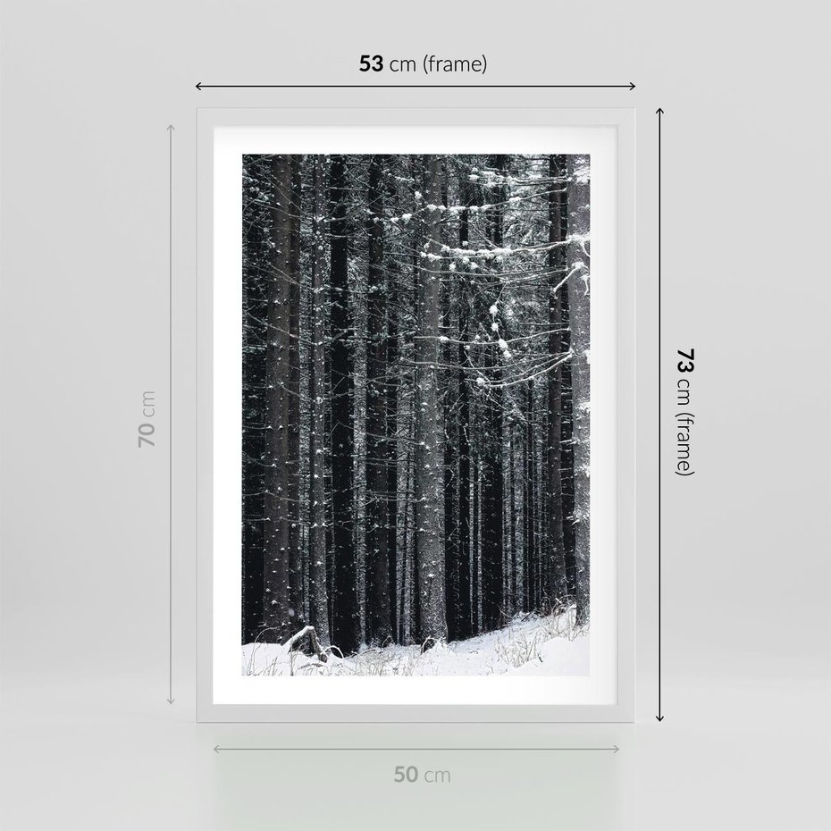 Plakat w ramie 50x70 - Leśna Cisza: Malowniczy Pejzaż Zimą - las zimą, ośnieżone pnie drzew - rama biała