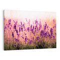 Obraz na płótnie 70x50 - Lawenda: Pachnące pole kwiatów - kwiaty, lawenda