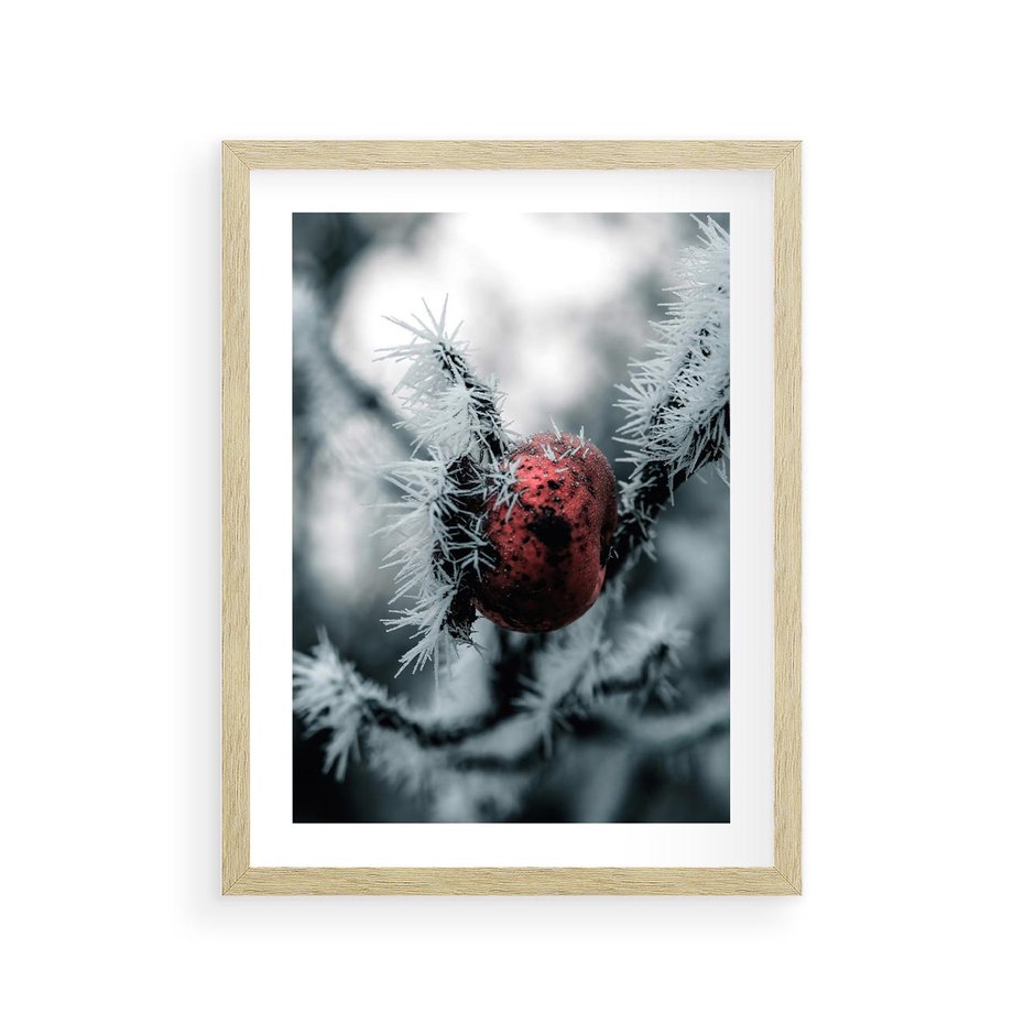 Plakat w ramie 30x40 - Chwila Zimowego Uroku - zima, ośnieżona gałązka - rama drewno