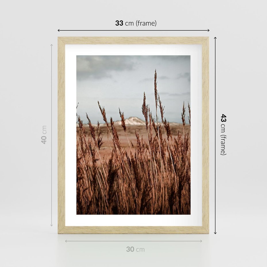 Plakat w ramie 30x40 - Wysokie Trawy w Górskim Krajobrazie - suche trawy, wysokie trawy - rama drewno
