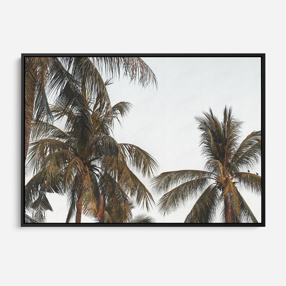 Obraz w ramie 70x50 - Palmy - tęsknota za Hawajami - palmy, Hawaje - rama czarna