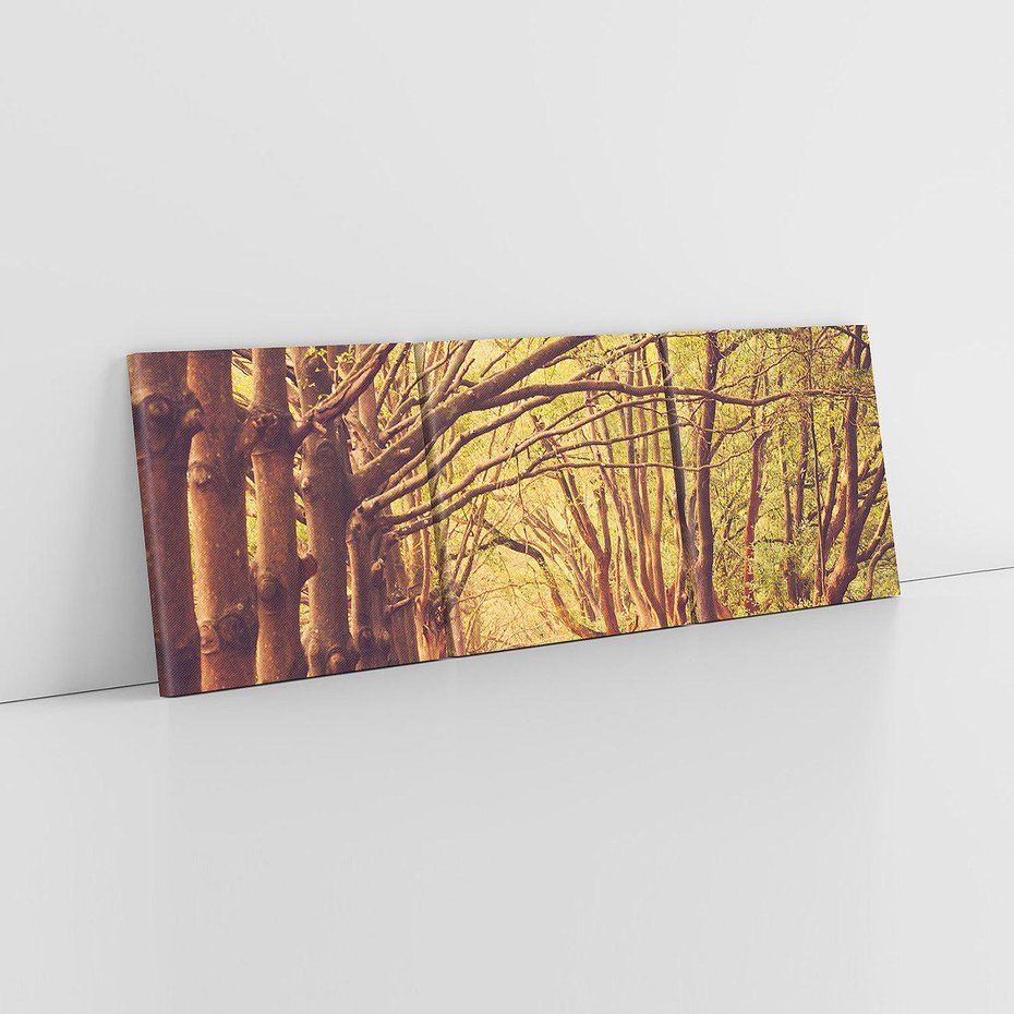 Obraz na płótnie 120x40 - Wędrówka między drzewami - droga, drzewa