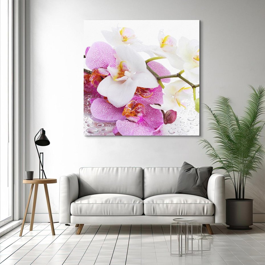 Obraz na płótnie 40x40 - Magia kwiatów - kwiaty