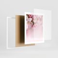 Plakat w ramie 40x50 - Kwitnąca wiśnia: delikatność natury - kwitnąca, wiśnia - rama biała