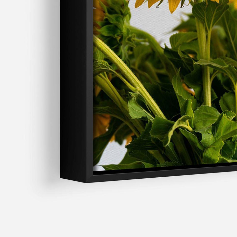 Obraz w ramie 100x70 - Słoneczna Radość - fotografia, żółte słoneczniki - rama czarna