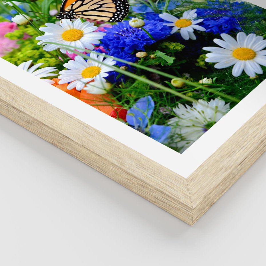 Plakat w ramie 40x50 - Kwiatowy Taniec - motyl, kwiaty - rama drewno