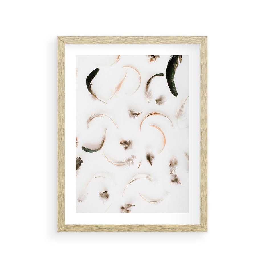 Plakat w ramie 30x40 - Kompozycja z Piór - pióra, kompozycja - rama drewno