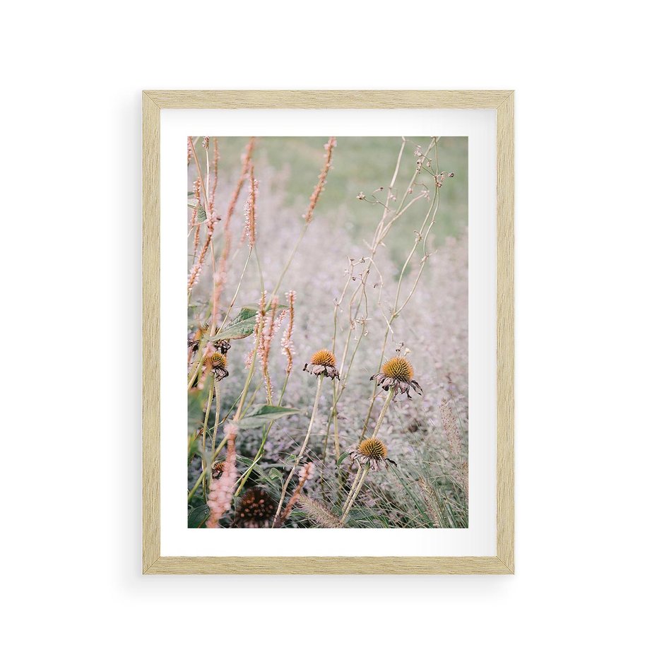 Plakat w ramie 30x40 - Przyroda w Pełnym Blasku: Kolorowa łąka z Kwiatami - łąka, kwiaty na łące - rama drewno