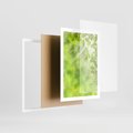 Plakat w ramie 50x70 - Zielone liście natury - liści, zieleń - rama biała