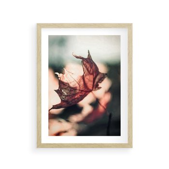 Plakat w ramie 40x50 - Liść w Jesieni - jesienny liść, czerwony - rama drewno