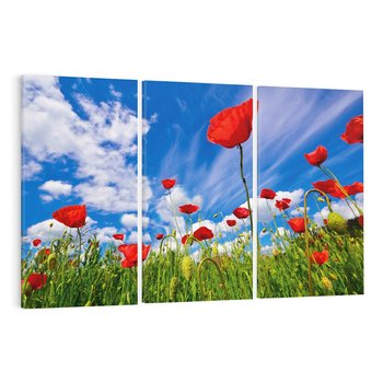 Obraz na płótnie 120x80 - Soczyste Kolory Przyrody - mak, maki