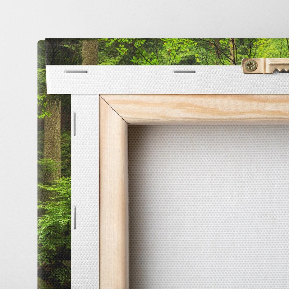 Obraz na płótnie 40x40 - Magiczny Strumień w Lesie - strumień, las