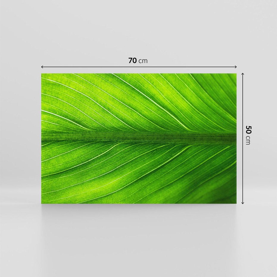 Obraz na płótnie 70x50 - Abstrakcja: interpretacje w liściach - liść, abstrakcja