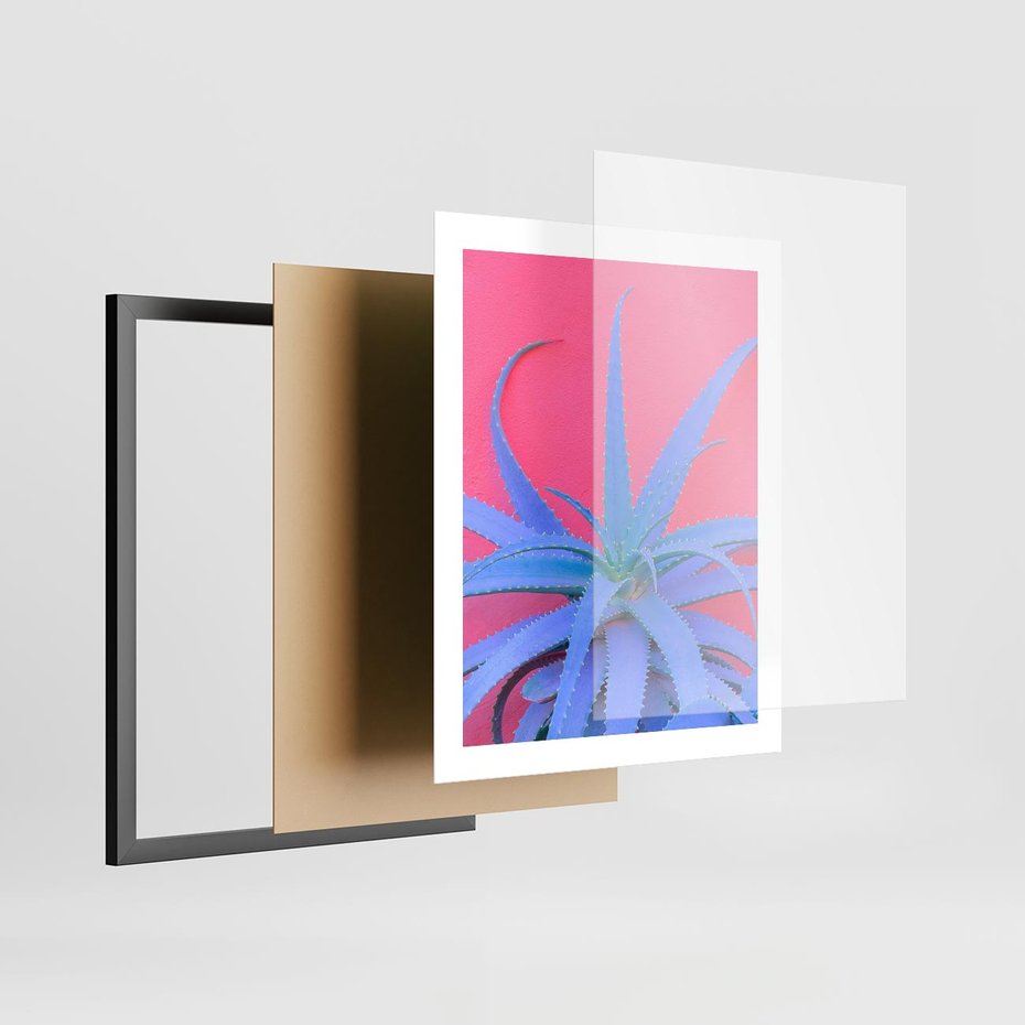 Plakat w ramie 40x50 - Piękno Pustyni - kaktusy, liście - rama czarna