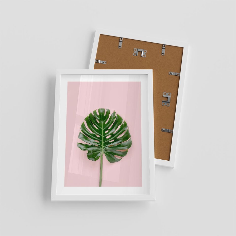 Plakat w ramie 30x40 - Egzotyczna Roślinność - liście, monstera - rama biała