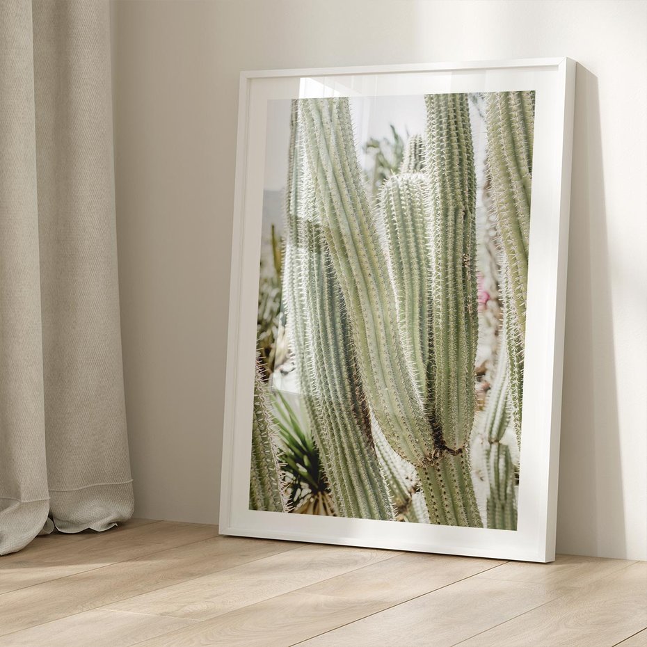 Plakat bez ramy 50x70 - Duże Kaktusy w Pejzażu - kaktus, duże kaktusy na pustyni