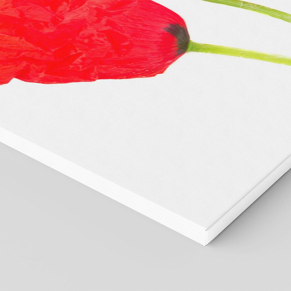 Obraz na płótnie 120x60 - Pola maków w pełnym kolorze - maki, kwiaty