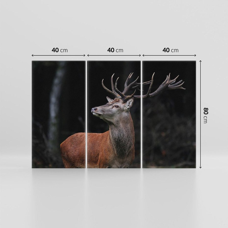 Obraz na płótnie 120x80 - Spotkanie z naturą - jeleń, las