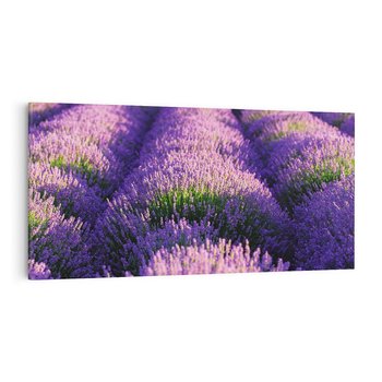 Obraz na płótnie 120x60 - Malownicze Pole Lawendy - lawenda, pole