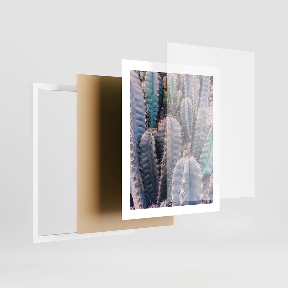 Plakat w ramie 40x50 - Kaktusowy Raj - kaktusy, dużo kaktusów - rama biała