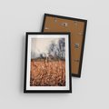 Plakat w ramie 30x40 - Jesienna Melancholia - suche trawy, jesień - rama czarna