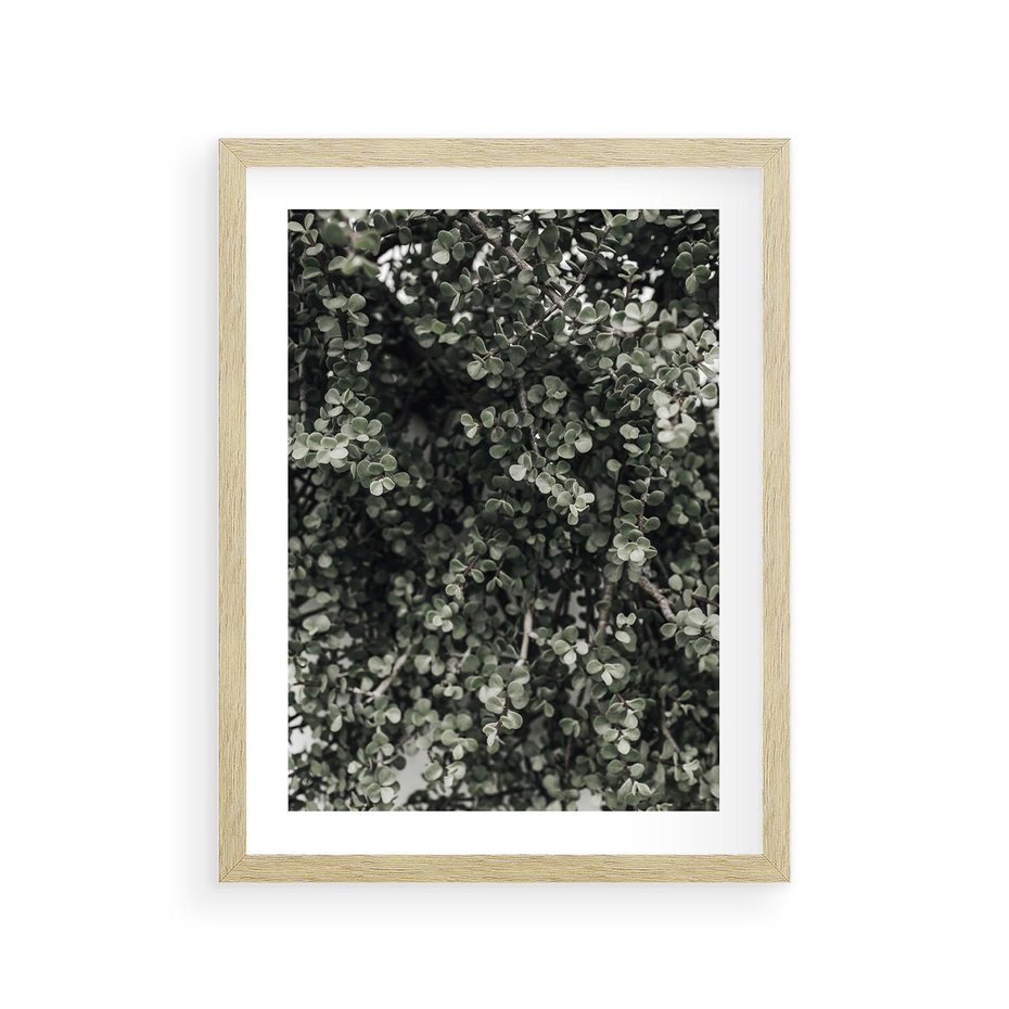 Plakat w ramie 30x40 - Jasnozielone Liście i Gałązki - liście, gałązki - rama drewno