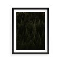 Plakat w ramie 40x50 - Ciemny las iglasty - las, iglasty - rama czarna