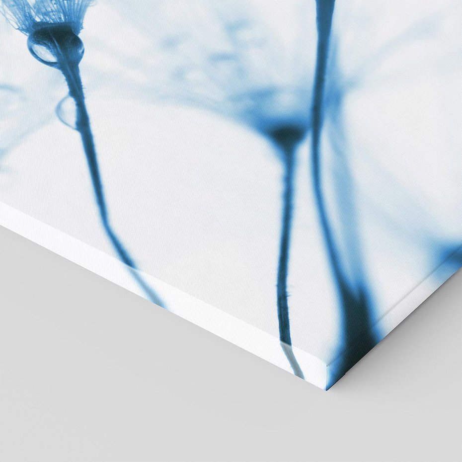 Obraz na płótnie 140x70 - Kwiat w kroplach wody - kwiat, krople