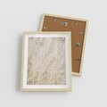 Plakat w ramie 40x50 - Białe Trawy Pampas - suche trawy, białe trawy - rama drewno
