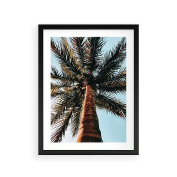Plakat w ramie 50x70 - Rajskie Inspiracje: Palma na Niebie - palma, na tle nieba - rama czarna