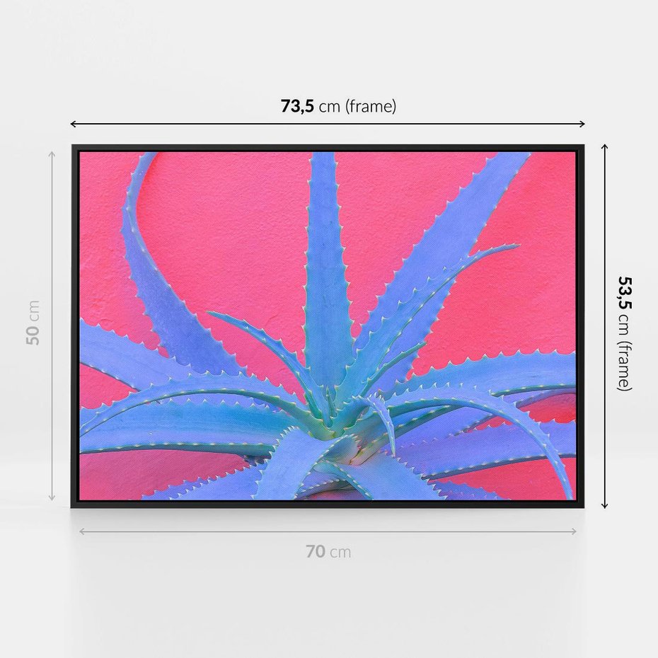 Obraz w ramie 70x50 - Piękno Pustyni - kaktusy, liście - rama czarna