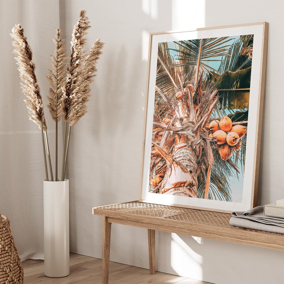 Plakat w ramie 30x40 - Tropikalna Palma: Fotografia z Kokosami - palma kokosowa, kokosy - rama drewno