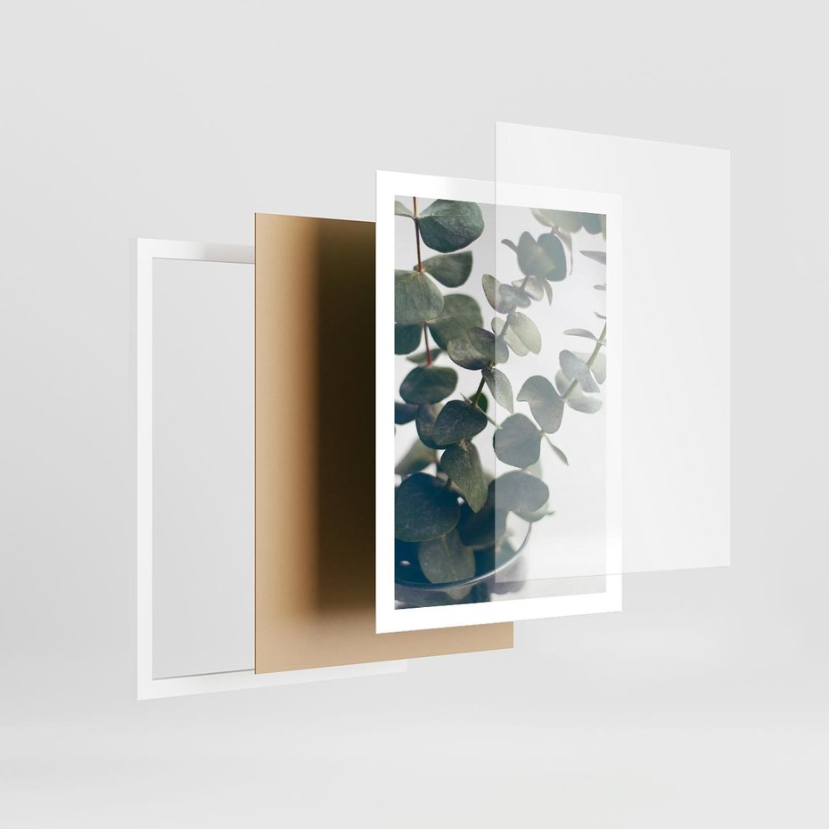 Plakat w ramie 50x70 - ukaliptusowa Harmonia - liście eukaliptusa - rama biała