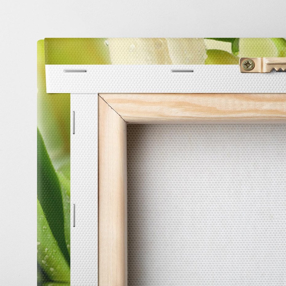 Obraz na płótnie 120x40 - Białe Piękno - białe, tulipany