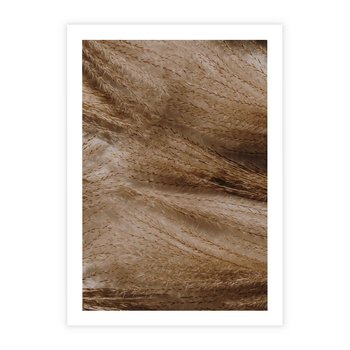 Plakat bez ramy 21x30 - Pampasowy Brąz - suche trawy, trawa pampasowa