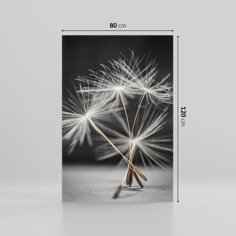 Obraz na płótnie 80x120 - Delikatność dmuchawców zbliżenie - dmuchawce, zbliżenie