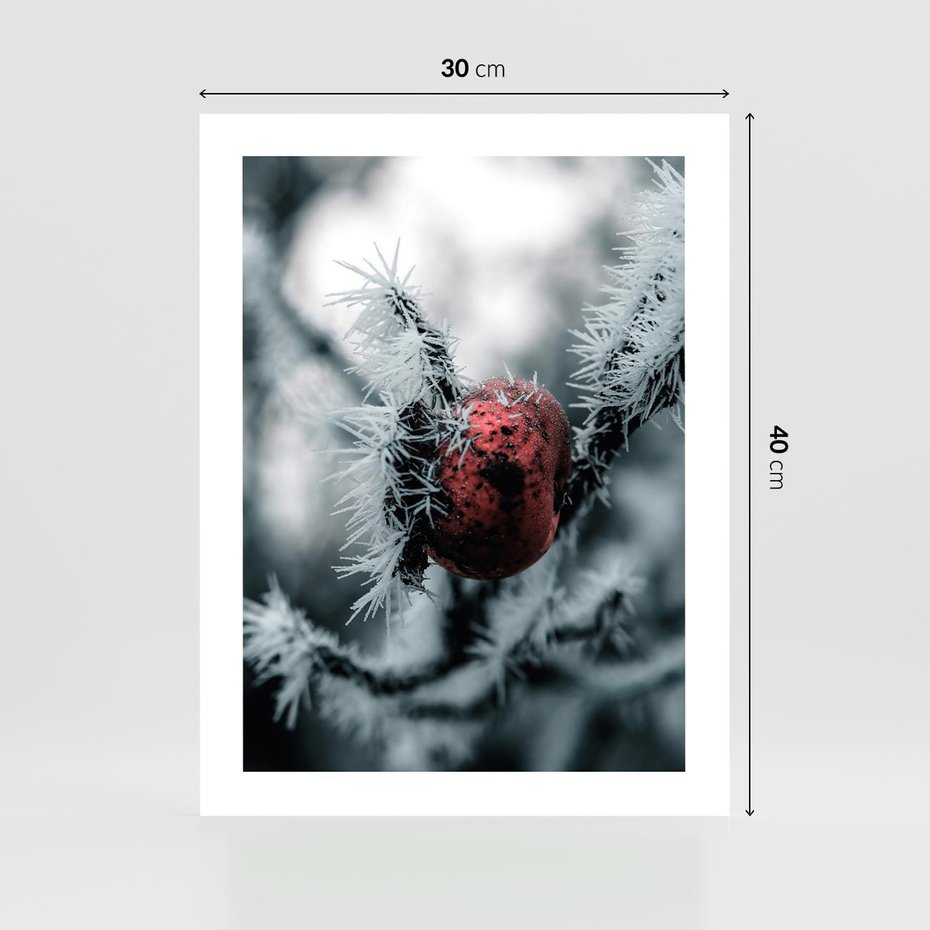 Plakat bez ramy 30x40 - Chwila Zimowego Uroku - zima, ośnieżona gałązka