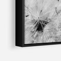 Obraz w ramie 100x70 - Zdmuchnięty Puch - dmuchawce, delikatne - rama czarna