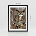 Plakat w ramie 30x40 - Tajemniczy Stróż - sowa, las - rama czarna