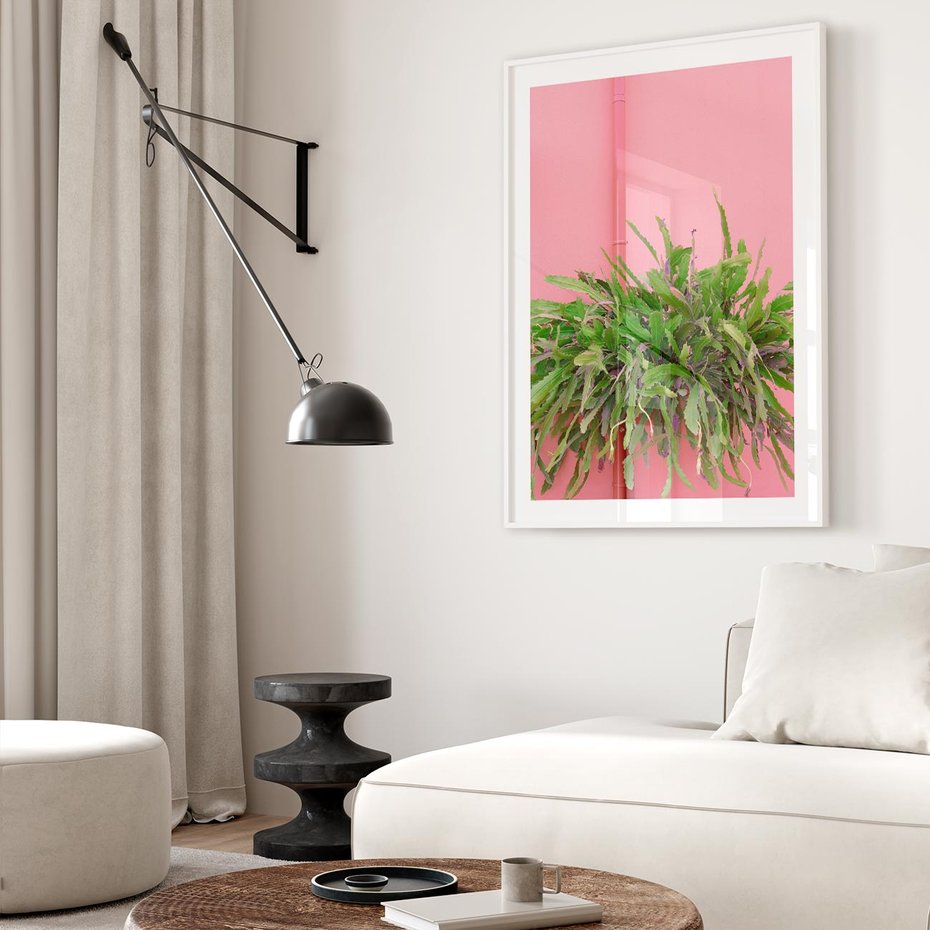 Plakat bez ramy 21x30 - Fotografia Rośliny z Różowym Tłem - fotografia, zielona roślina na tle różwj ściany