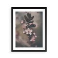 Plakat w ramie 40x50 - Przemijający Urok - kwitnąca, wiśnia - rama czarna