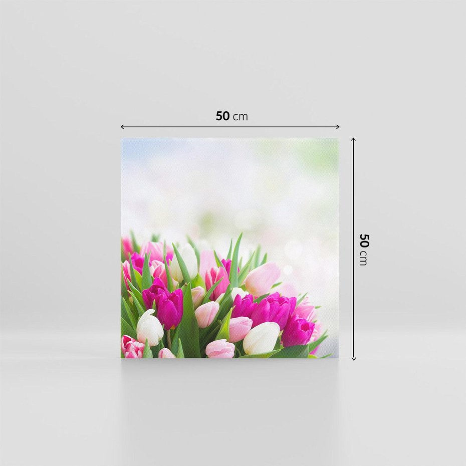 Obraz na płótnie 50x50 - Tulipany w pełnym rozkwicie - tulipany, kwiaty