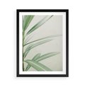 Plakat w ramie 50x70 - Minimalistyczna Tropikalna Harmonia - tropikalna roślina, zielone liście - rama czarna