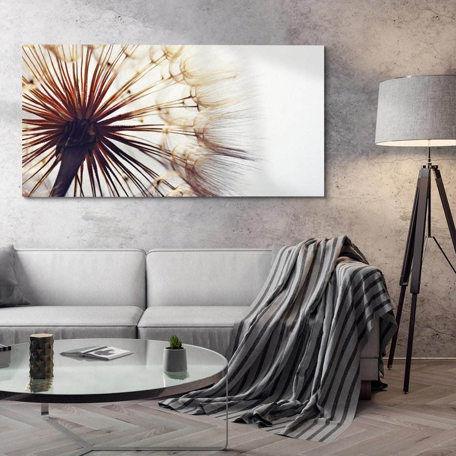 Obraz na płótnie 120x60 - Makro piękno dmuchawca - makro, dmuchawiec