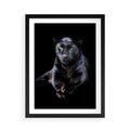 Plakat w ramie 50x70 - Czarna pantera: majestat i siła - czarna, pantera - rama czarna